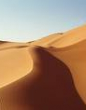 Foto de perfil de duna
