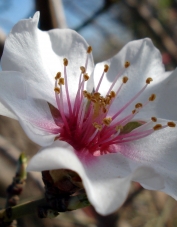 Foto de perfil de Montseblanc Foto de perfil de Montseblanc
