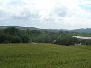 Foto de perfil de fada de mel Foto de perfil de fada de mel