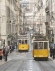 Foto de perfil de lisboa