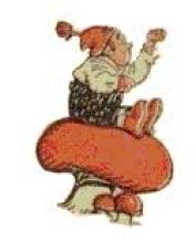 Foto de perfil de MINIREPTE