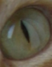 Foto de perfil de Imagina