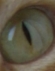 Foto de perfil de Imagina
