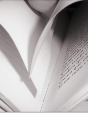 Foto de perfil de llentisclina Foto de perfil de llentisclina