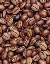 Foto de perfil de rosers de cafè Foto de perfil de rosers de cafè