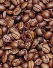 Foto de perfil de rosers de cafè