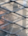 Foto de perfil de Alex Roa