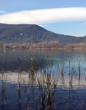 Foto de perfil de Goja De l'Estany