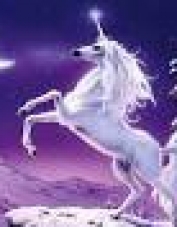 Foto de perfil de unicorn_blanc_del_bosc Foto de perfil de unicorn_blanc_del_bosc