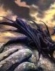 Foto de perfil de Dragon