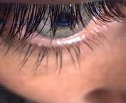 Foto de perfil de Zeamays Foto de perfil de Zeamays