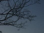 Foto de perfil de drocera Foto de perfil de drocera