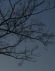 Foto de perfil de drocera