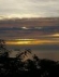 Foto de perfil de teixidora