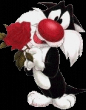 Foto de perfil de timis