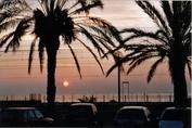 Foto de perfil de Estel Perdut