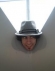 Foto de perfil de PERIS