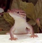 Foto de perfil de ZeroNegatiu