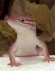 Foto de perfil de ZeroNegatiu