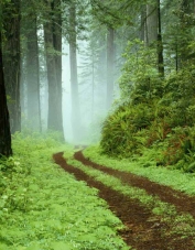 Foto de perfil de prudenci Foto de perfil de prudenci