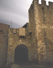 Foto de perfil de Francesc de Castellví i Obando