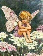 Foto de perfil de GATBLAU Foto de perfil de GATBLAU