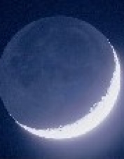 Foto de perfil de Capdelin Foto de perfil de Capdelin