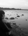 Foto de perfil de Tramuntana