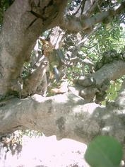 Foto de perfil de hipòlit Foto de perfil de hipòlit