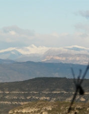 Foto de perfil de T. Cargol