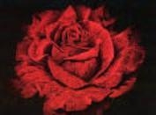 Foto de perfil de Alaborn Foto de perfil de Alaborn