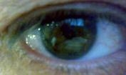 Foto de perfil de xavier_marti