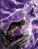 Foto de perfil de white_wolf
