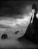 Foto de perfil de fada_nocturna