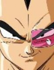 Foto de perfil de VEGETA Foto de perfil de VEGETA