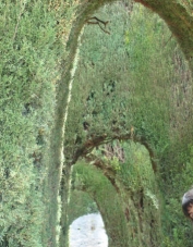 Foto de perfil de nana_17