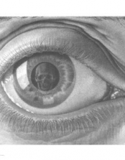 Foto de perfil de Ladycrow