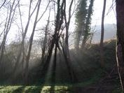 Foto de perfil de Magrat