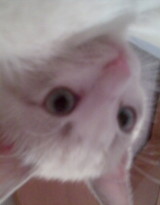 Foto de perfil de gmaxX
