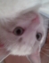 Foto de perfil de gmaxX