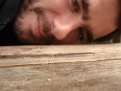 Foto de perfil de borrissol enganxifós de sota el llit