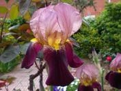 Foto de perfil de Persona Foto de perfil de Persona
