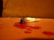 Foto de perfil de  poNs