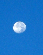 Foto de perfil de Endevina'm Foto de perfil de Endevina'm