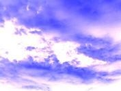 Foto de perfil de Laura09 Foto de perfil de Laura09