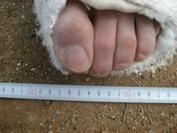 Foto de perfil de papermaxe